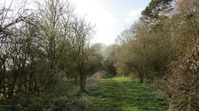 Course of the former Beverley to York railway line  (© © Copyright Jonathan Thacker (https://www.geograph.org.uk/profile/46229) and licensed for reuse (https://www.geograph.org.uk/reuse.php?id=5740543) under this Creative Commons Licence (https://creativecommons.org/licenses/by-sa/2.0/).)