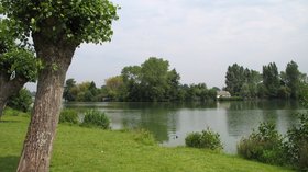 Lake in Ardres (© I, MJJR [CC BY 2.5 (http://creativecommons.org/licenses/by/2.5)], via Wikimedia Commons (original photo: https://commons.wikimedia.org/wiki/File:Ardres_Lacs_01.jpg))
