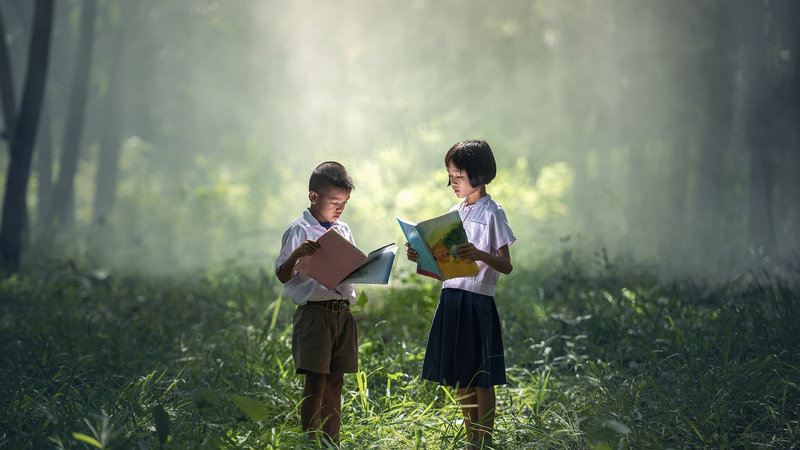 Children reading books in the forest - Camping with children