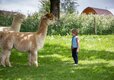 Notgrove Holidays Animals