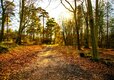 14-IMG_7828