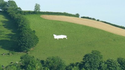 Artistic cattle on Llangunnor Hill (© Nigel Davies [CC BY-SA 2.0 (https://creativecommons.org/licenses/by-sa/2.0)], via Wikimedia Commons (original photo: https://commons.wikimedia.org/wiki/File:Artistic_cattle_on_Llangunnor_Hill_-_geograph.org.uk_-_1336582.jpg))
